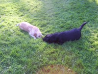 Monty and Katie