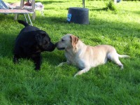 Monty and Katie