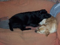 Monty and Katie